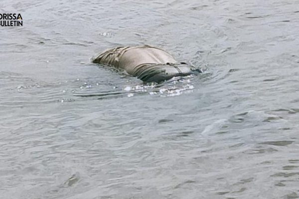 body in river