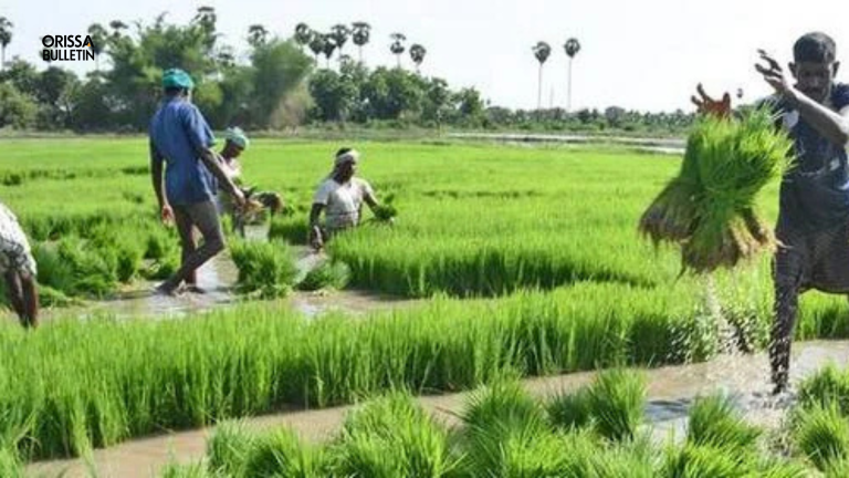 CM Kisan Yojana