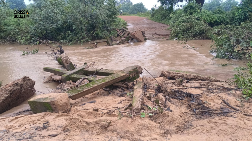 Odisha Bridge Washed Away in Sunabeda Sanctuary as Torrential Rains Continue Odisha Bridge Washed Away
